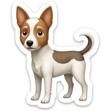 a full body large white floppy eared parson russell looking dog the size of a kelpie with light brown ears and a light brown patch on one eye and a large snout sticker