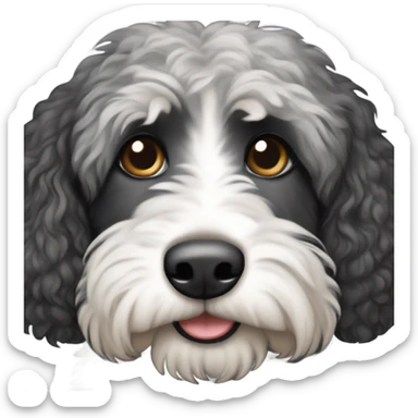 Bernedoodle with all black head and gray eyebrows  sticker