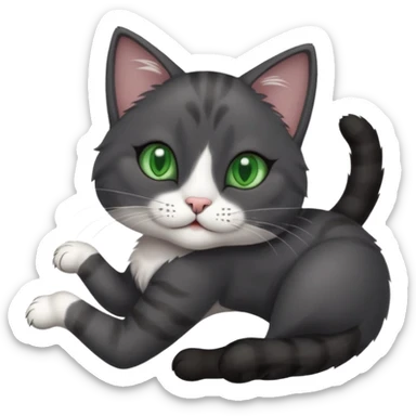 beautiful female solid dark grey cat with green eyes, white toes/paws and white patch on her chest rolling upside down sticker