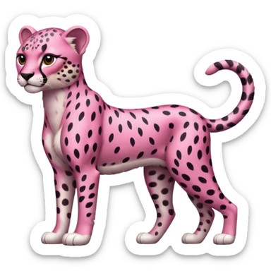 Pink cheetah sticker
