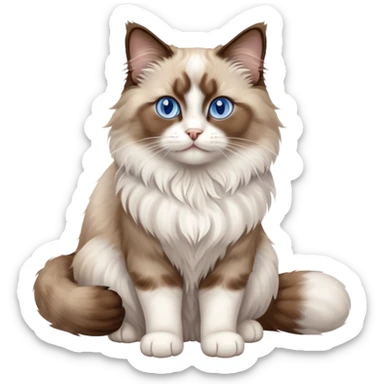 cinematic-[brown and white ragdoll cat]-realistic-full-body-sitting-emoji,-tail-curled-playfully-around-its-paws,-head-tilted-dramatically,-fluffy-[brown and white]-fur,-simplified-yet-realistic-focused-features,-highly-detailed,-glowing-with-an-almost-sarcastic-glow, with blue eyes sticker