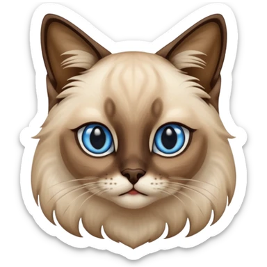 
Siamese cat: long hair fur blue eyes sticker
