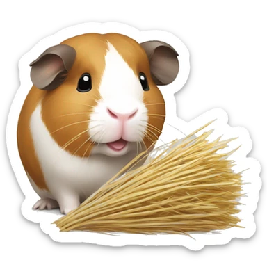 Guineapig with a strand of long grass hay in his mouth sticker