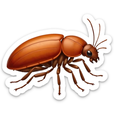 bedbug insect sticker