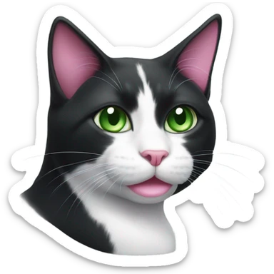 Black and white cat with pink nose and green eyes sticker