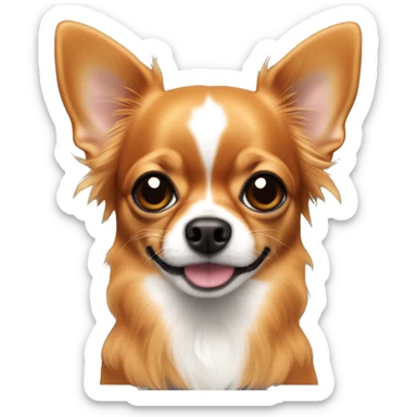 Dark orange long hair chihuahua with black mouth and ears. No white on head sticker