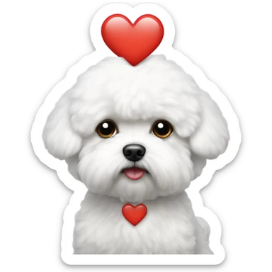Bichon frise sad with a love heart sticker