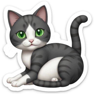 beautiful female solid dark grey cat with green eyes, white toes/paws and white patch on her chest rolling upside down sticker
