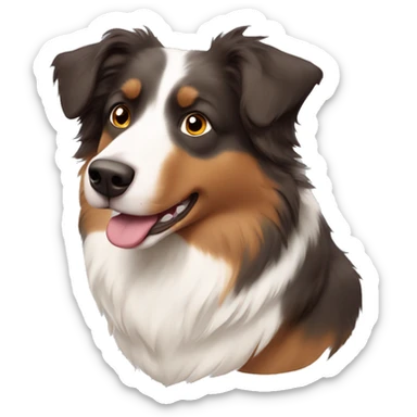 Australian shepherd with a brown fur strip by  nose not a white one sticker