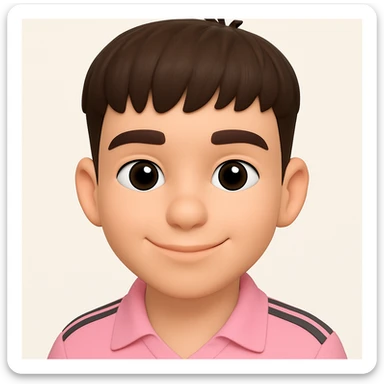 this image in 3d-emoji style, with a slight smile and a slimmer face sticker