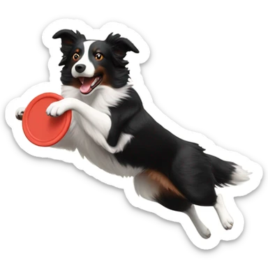 Red border collie catching frisbee in the air sticker