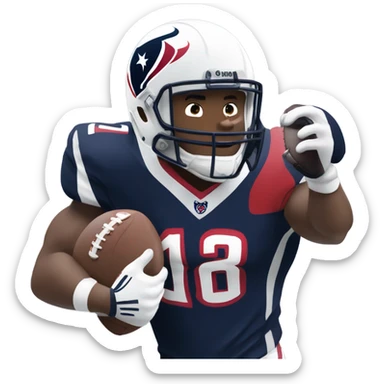 Houston Texans  sticker