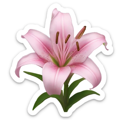 pink lilies  sticker
