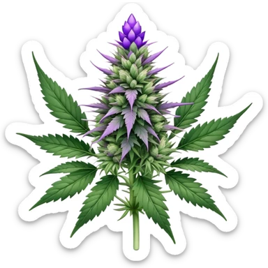 Cannabis plant with purple buds, crystal trichomes, and small wedding elements, wedding crasher strain sticker