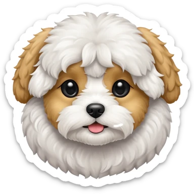 Maltipoo dog longer ears and black eyes sticker