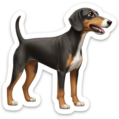 Homosexual dash hound￼ sticker