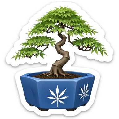 Japanese broken 35 side polyhedron-shaped shallow dark bamboo blue maple tree bonsai pot sticker