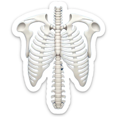 ribs that is in an xray format make it blue and white sticker