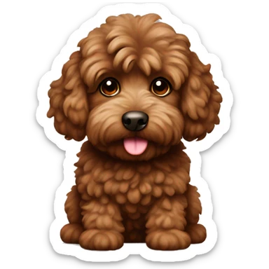 Brown fluffy cockapoo  sticker