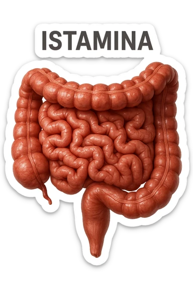 intestino umano realistico con la scritta "ISTAMINA" stampata sopra, iperrealistico 4k sticker