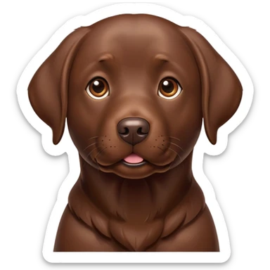 Chocolate labrador sticker