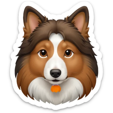 tricolor shetland sheepdog head, colors are dark black, white and brown, side view of face make it majestetic brown sticker
