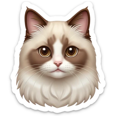 Cinematic Adorable Chocolate-Point Ragdoll Cat Portrait Emoji, Head tilted cutely with big, sparkling eyes, sleek brown and white tones with a sweet white nose, Simplified yet irresistibly adorable features, highly detailed, glowing with a soft, warm glow, high shine, affectionate and playful, stylized with a touch of whimsy, bright and endearing, soft glowing outline, capturing the essence of a curious and loving kitten, so cute it feels like it could leap out of the screen and snuggle up for a cuddle! sticker