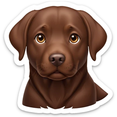 Chocolate Labrador  sticker
