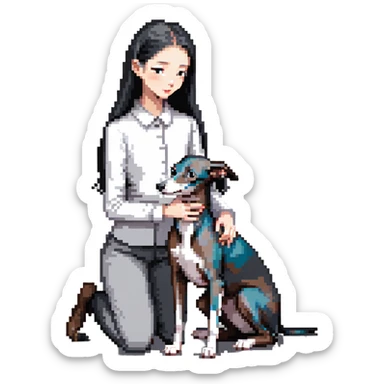 Slim Chinese girl with long black hair petting an Italian greyhound with completely uniform solid grey color throughout its entire body and face, with no white markings anywhere sticker