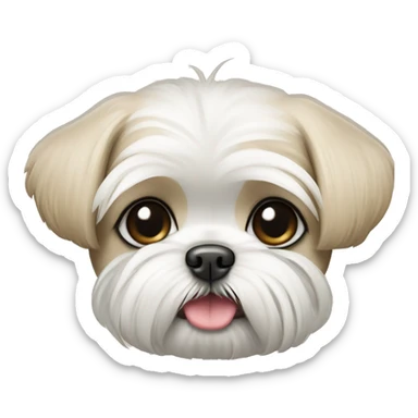 white and beige shih tzu maltese puppy with upright pointy ears sticker