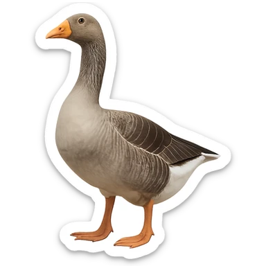 Goose sticker