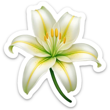 Cinematic Realistic Lily Emoji, Elegant and fragrant, with soft, white petals curling delicately around a golden-yellow stamen at its center. The long, slender green stem stands tall, supporting the vibrant bloom with its slightly curled tips. Soft glowing outline, capturing the essence of purity, elegance, and grace in a striking lily. sticker