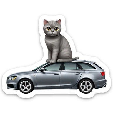 Gray scottish fold cat with audi a6 c6 black avant car  sticker