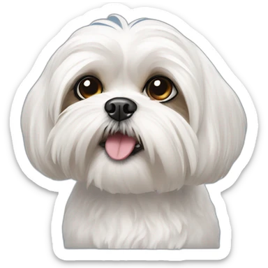 White maltese shih tzu sticker