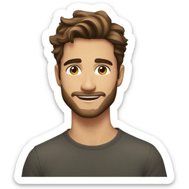 Handsome man, 22 years old, light facial hair, longish brown hair, hazel eyes, good eyebrows, beautiful smile sticker