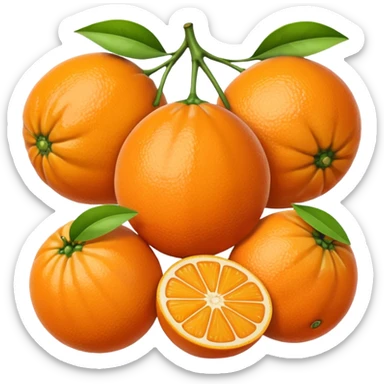 Guaxinim laranja avermelhado  sticker