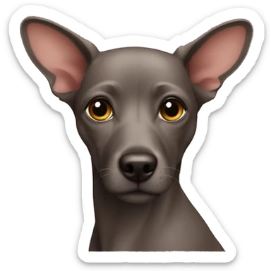 A xoloitzcuintle  sticker