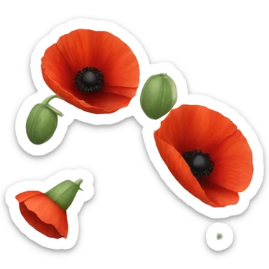 three red poppies sticker