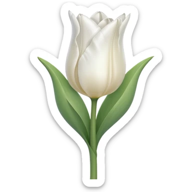 white tulip, elegant, no text sticker