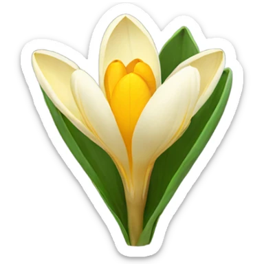 Yellow Crocus sticker