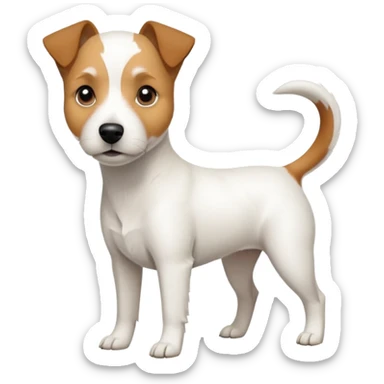 a full body slightly chubby white parson russell terrier looking dog the size of a kelpie with light brown long ears and a light brown patch on one eye and a large snout. the rest of the dog is completely whiteforward facing sticker