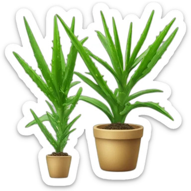 Aloes forever Living Products sticker