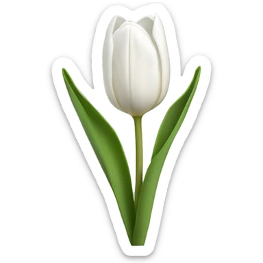 white tulips  sticker