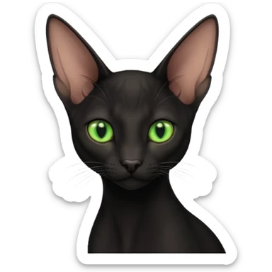 Black oriental shorthair sticker