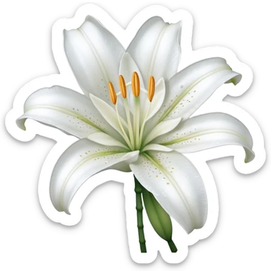 A cute gorgeous pretty aesthetic beautiful shiny glittery shimmering soft smooth hyperrealistic white Lily flower Corolla blossom bloom (without the stem) sticker