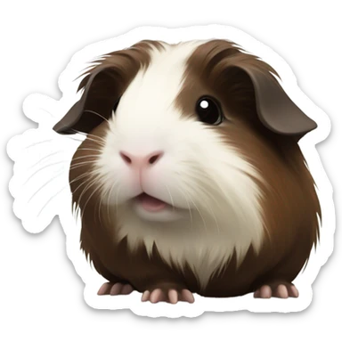 Long haired all dark brown guinea pig baby sticker