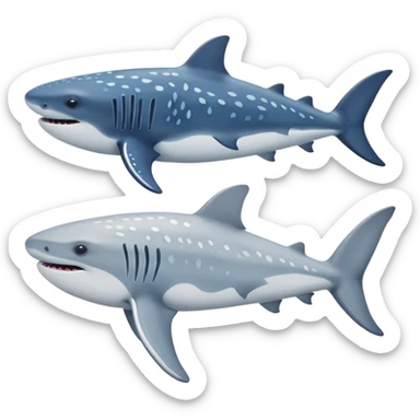 Whale Shark And Beluga Whale sticker