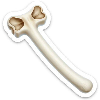 singular long anatomically-correct bone sticker