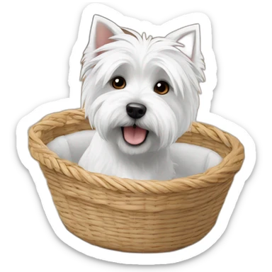 West Highland white terrier in way too small dog basket sticker