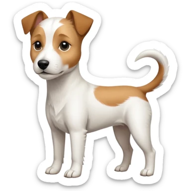 a full body slightly chubby white parson russell terrier looking dog the size of a kelpie with light brown long ears and a light brown patch on one eye and a large snout sticker